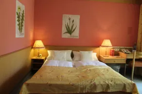 WAGNERS Hotel Schönblick, C&C Hotels und Vertrieb GmbH - Room