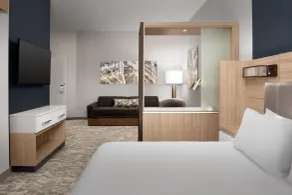SpringHill Suites by Marriott Fayetteville I-95 - Room