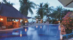 Aneka Lovina Villas & Spa - Pool