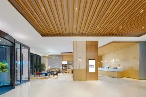 Hilton Garden Inn Shenzhen Nanshan Avenue - Reception