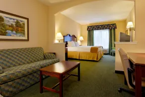Holiday Inn Express & Suites San Antonio South by IHG - Chambre