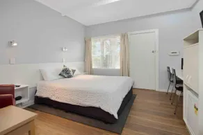 The Tree Motel - Room