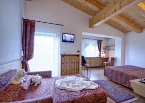 Hotel Des Alpes - Vue de la chambre
