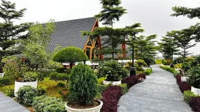 Balemora wellness Resort - Front of property