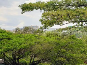 Nature Kigali - Ausblick vom Zimmer