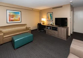 Holiday Inn Des Moines-Downtown-Mercy Campus by IHG - Chambre