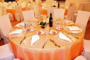 Villa Bregana - Restaurant