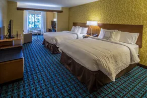Fairfield Inn & Suites by Marriott Wisconsin Dells - Chambre
