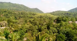 Green Tulip Hotel Kandy - Udsigt fra værelset
