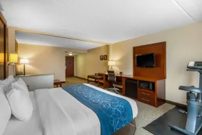 Comfort Suites Manassas Battlefield Park - Chambre