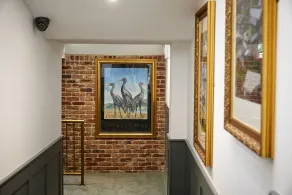 Three Cranes Serviced Apartments - Recepción