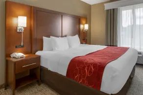 Comfort Suites Knoxville North - Chambre