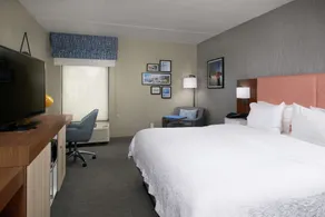 Hampton Inn Niagara Falls - Chambre