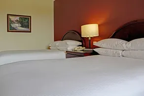 DoubleTree by Hilton Cariari - San Jose Costa Rica - Room