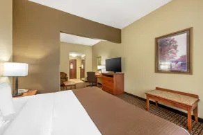 Best Western Plus Grand Island Inn and Suites - Værelse