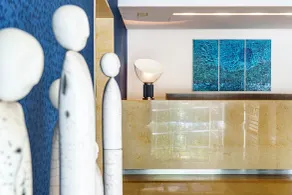 Hotel Dom Goncalo & Spa - Réception