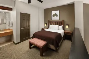 Great Wolf Lodge Grapevine - Chambre
