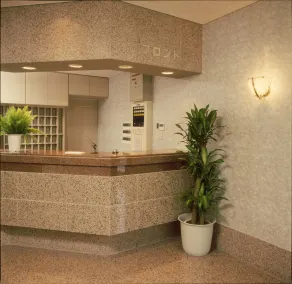 Ichinomiya Green Hotel - Réception