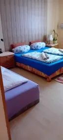 Pension U Dubu - Quarto