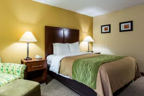 Comfort Inn Columbia West - Chambre
