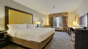 Holiday Inn Express & Suites Gonzales by IHG - Chambre