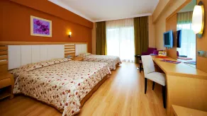 Grand Pasa Hotel - Room