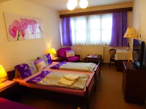 Hotel Stará škola na Šumavě - Camera