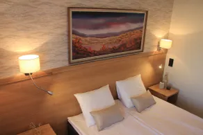 Hotel Aakenus - Room