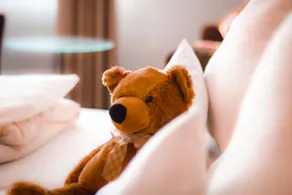 Landhotel und Weingasthof Schwarzer Adler - Room