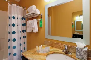 TownePlace Suites by Marriott San Jose Cupertino - Baño