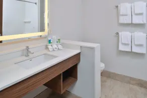 Holiday Inn Express & Suites Southgate - Detroit Area by IHG - Salle de bain