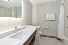 Holiday Inn Express & Suites - Grand Rapids Airport - South by IHG - Salle de bain
