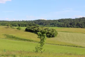 Hotel Tannenhof - Vista dalla camera