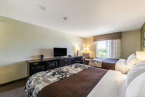 Sleep Inn & Suites Jourdanton-Pleasanton - Værelse