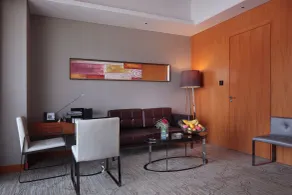 Pullman Anshan Time Square - View from room