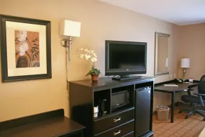 Hampton Inn & Suites Chicago/St. Charles - Chambre