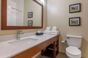 Comfort Suites Keeneland - Chambre