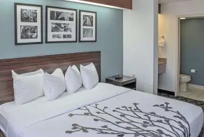 Sleep Inn Lake Wright - Norfolk Airport - Chambre