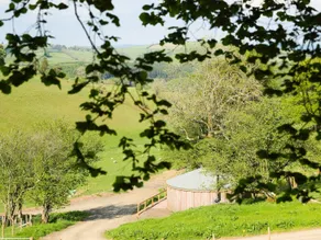 Rolling Hills - Intérieur