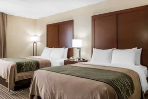 Comfort Inn - Pocono Mountains - Chambre