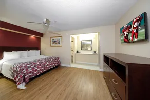 Red Roof Inn Ellenton - Bradenton NE - Chambre