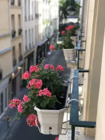 Hôtel Du Vieux Saule Paris - Vue de la chambre
