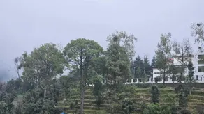 Hotel Trvaller Inn - Miscellaneous