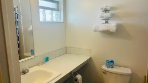 Capital O Swan Inn Comstock Park - Salle de bain
