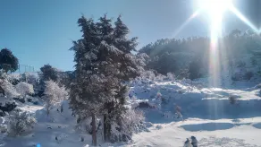 Hotel Himalaya View - Fasade