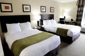 Comfort Inn Southwest Fwy at Westpark - Room