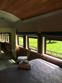 Woodlyn Park Motel - Vistas desde la habitación