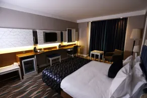 Sivas Buyuk Hotel - Room