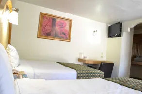 Hotel Flamingo - Chambre