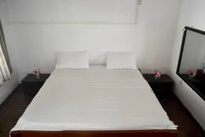 The New Big Tree Beach Resort - Camera